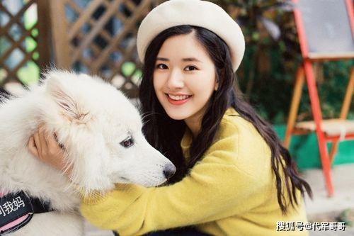 娱乐圈爆料短腿小花,逆袭之路，星光熠熠  第2张